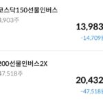 코스피 인버스 ETF 분할매수, 지금은 거품에 대응할 시간 코스피 인버스 ETF 분할매수 매수 기록